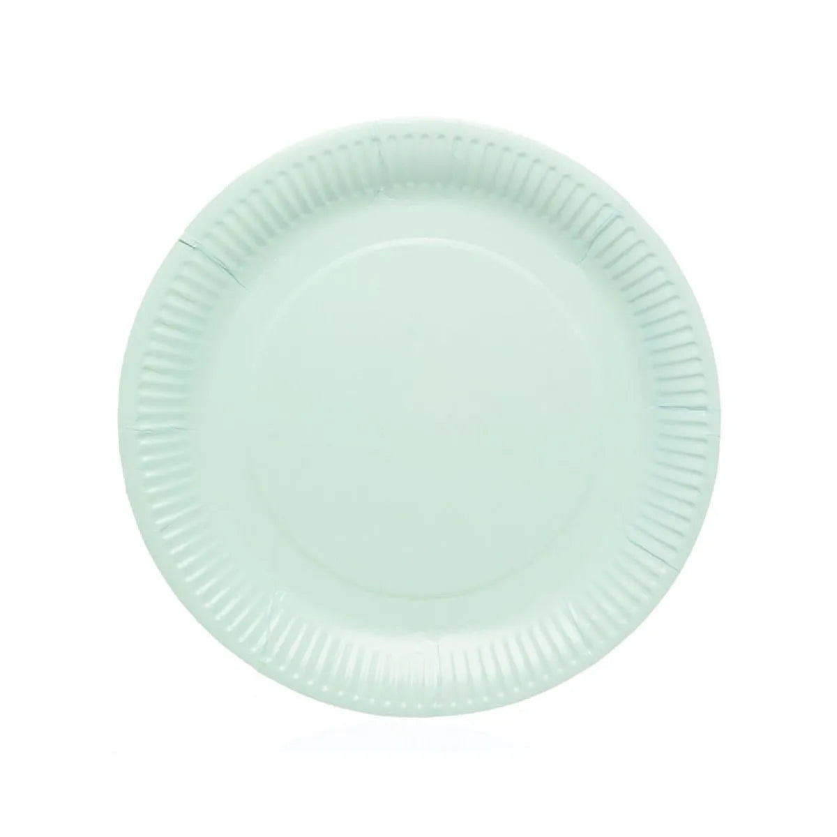 Duck Egg Paper Plates