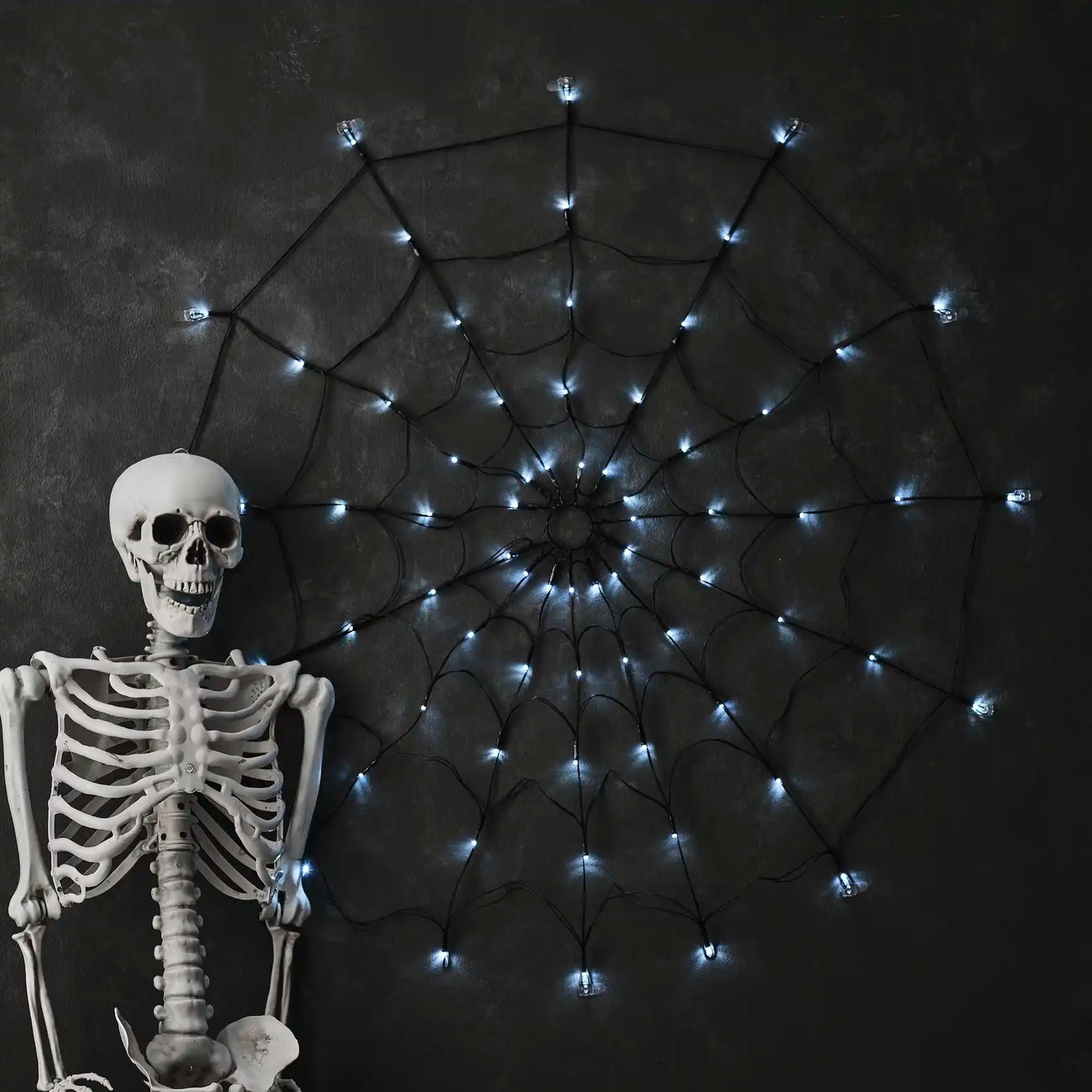 Light Up Halloween Spiderweb