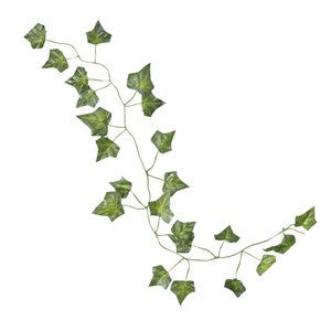 Beautiful Botanics Decorative Vines - 2m